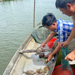 Mô hình nuôi ghép đang sốt trở lại